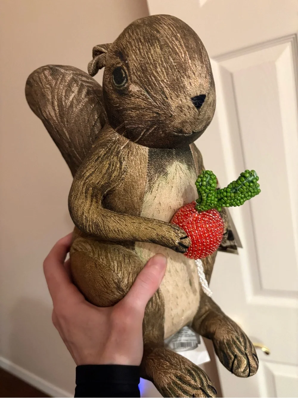 Target John Derian Brown and Cream Squirrel pillow with Red Berry Accent